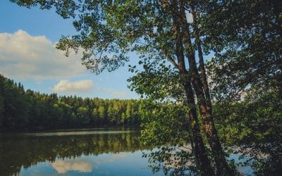 Jupon Erän kesäkokous 2021 ja talkoot